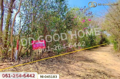 ที่ดินปากช่อง 15 ไร่ 3.44 ตร.ว. พญาเย็น นครราชสีมา ใกล้The wild เขาใหญ่