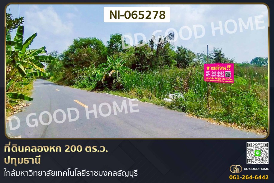 ที่ดินคลองหก 200 ตร.ว. ปทุมธานี ใกล้มหาวิทยาลัยเทคโนโลยีราชมงคลธัญบุรี-1