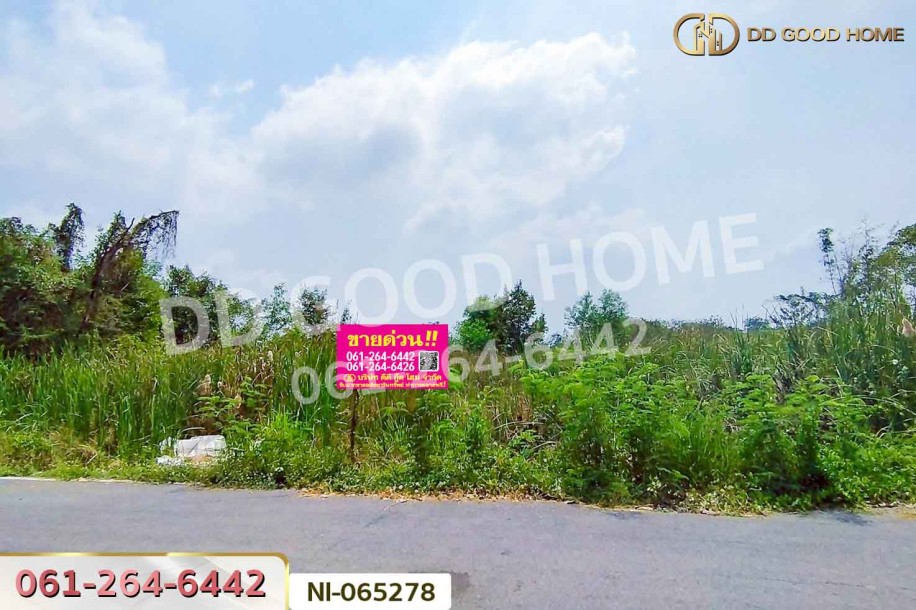 ที่ดินคลองหก 200 ตร.ว. ปทุมธานี ใกล้มหาวิทยาลัยเทคโนโลยีราชมงคลธัญบุรี-9