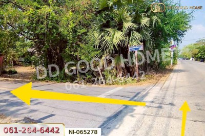 ที่ดินคลองหก 200 ตร.ว. ปทุมธานี ใกล้มหาวิทยาลัยเทคโนโลยีราชมงคลธัญบุรี