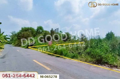 ที่ดินคลองหก 200 ตร.ว. ปทุมธานี ใกล้มหาวิทยาลัยเทคโนโลยีราชมงคลธัญบุรี