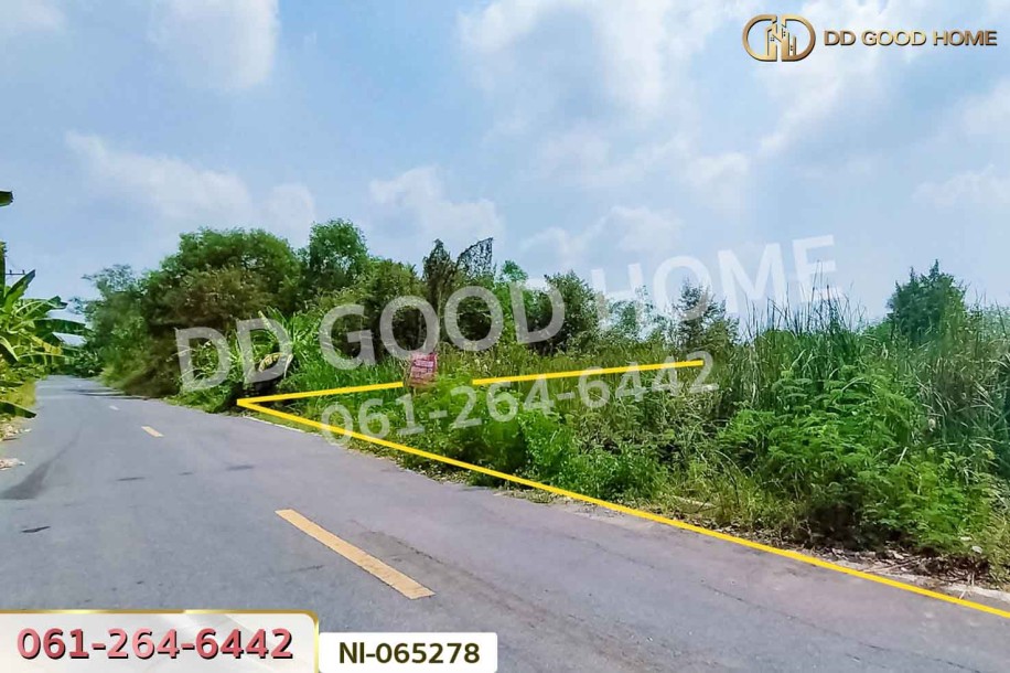 ที่ดินคลองหก 200 ตร.ว. ปทุมธานี ใกล้มหาวิทยาลัยเทคโนโลยีราชมงคลธัญบุรี-6