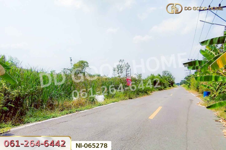 ที่ดินคลองหก 200 ตร.ว. ปทุมธานี ใกล้มหาวิทยาลัยเทคโนโลยีราชมงคลธัญบุรี-4