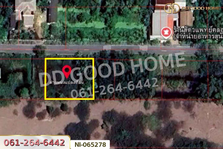 ที่ดินคลองหก 200 ตร.ว. ปทุมธานี ใกล้มหาวิทยาลัยเทคโนโลยีราชมงคลธัญบุรี-2