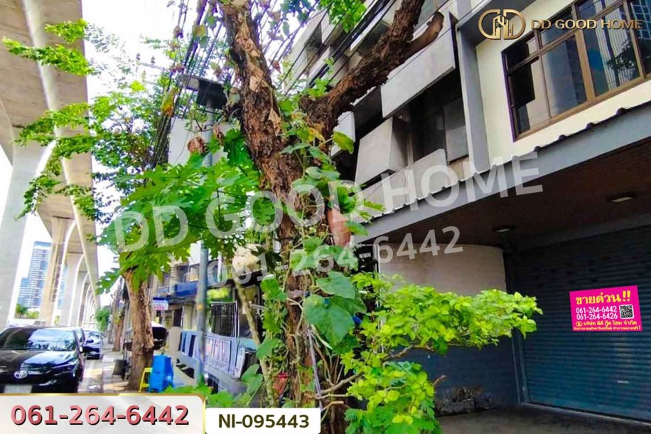 อาคารพาณิชย์ ถ.กรุงเทพ-นนท์ บางซื่อ ใกล้สถานี MRT บางซ่อน-11