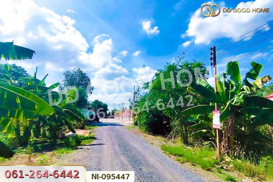 ที่ดินวังน้อย 58 ตร.ว. พระนครศรีอยุธยา ใกล้ตลาดวังน้อยเมืองใหม่-3