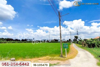 ที่ดินบางคูวัต ติดคลองหนามแดง 1 ไร่ 226.7 ตร.ว. ปทุมธานี ใกล้สำนักงานเทศบาลตำบลบางเดื่อ