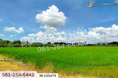 ที่ดินบางคูวัต ติดคลองหนามแดง 1 ไร่ 226.7 ตร.ว. ปทุมธานี ใกล้สำนักงานเทศบาลตำบลบางเดื่อ