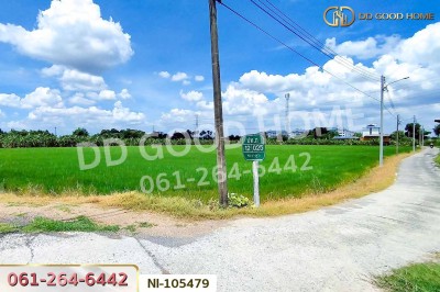 ที่ดินบางคูวัต ติดคลองหนามแดง 1 ไร่ 226.7 ตร.ว. ปทุมธานี ใกล้สำนักงานเทศบาลตำบลบางเดื่อ