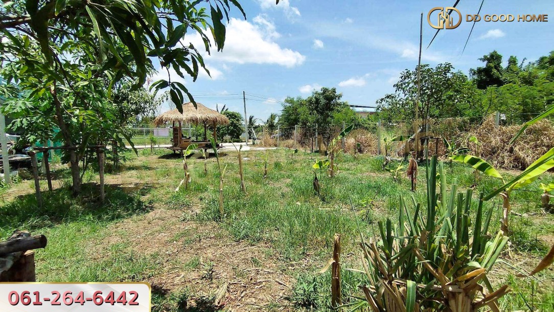 ที่ดินเปล่าถมแล้ว 136 ตร.ว. ต.นราภิรมย์ อ.บางเลน-9