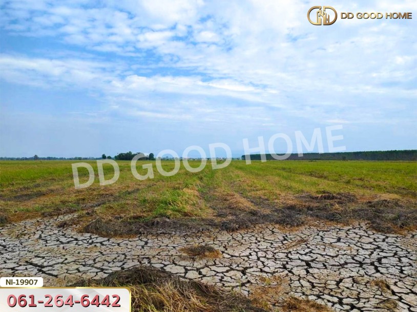 ที่ดิน อ.เมืองปราจีนบุรี 41 ไร่ 250 ตร.ว. ถ.คลองหลวงแพ่ง - ปราจีนบุรี-7