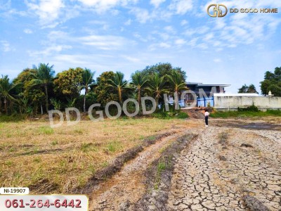 ที่ดิน อ.เมืองปราจีนบุรี 41 ไร่ 250 ตร.ว. ถ.คลองหลวงแพ่ง - ปราจีนบุรี-6