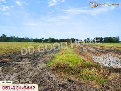 ที่ดิน อ.เมืองปราจีนบุรี 41 ไร่ 250 ตร.ว. ถ.คลองหลวงแพ่ง - ปราจีนบุรี-2