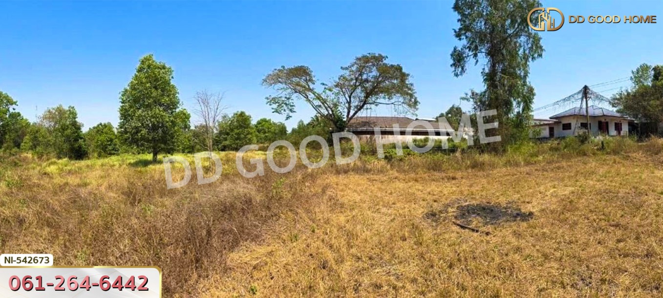 ที่ดิน อ.บุณฑริก 2 ไร่ 268 ตร.ว. อุบลราชธานี-7