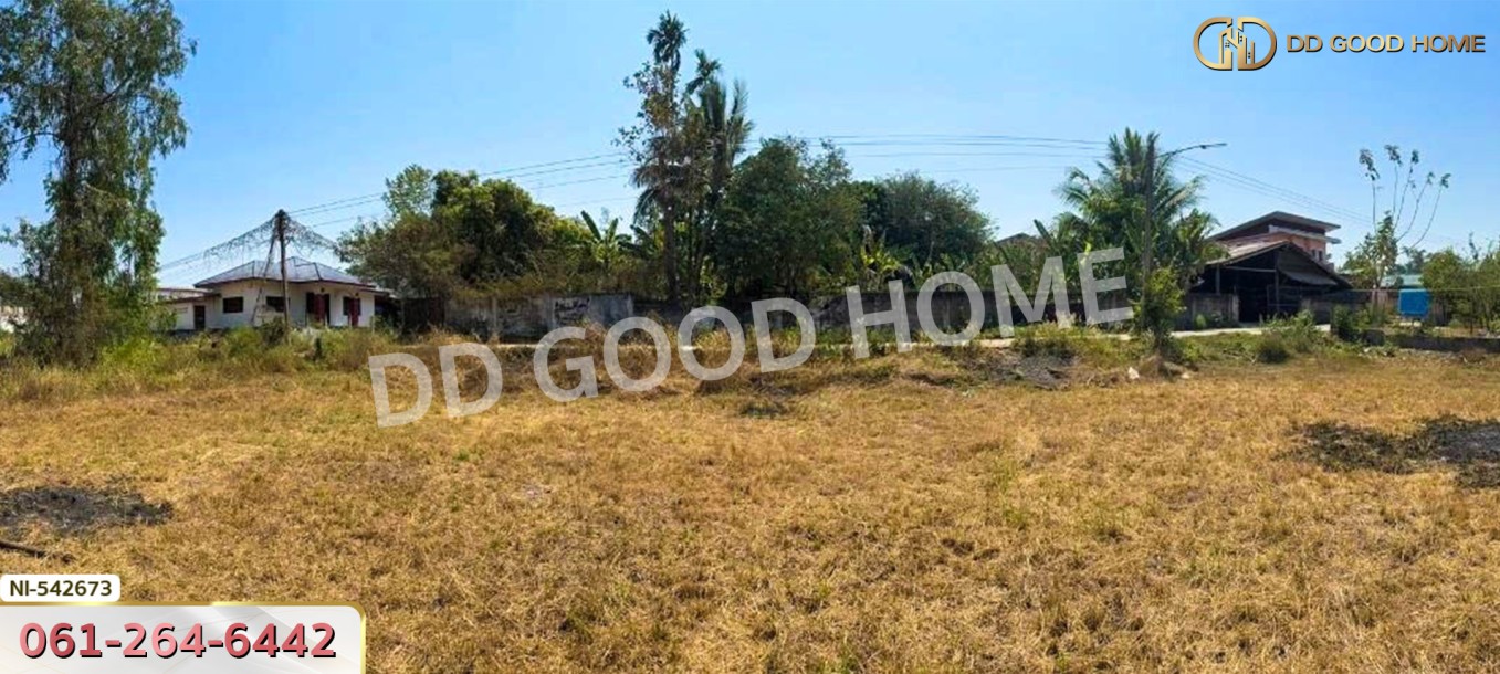 ที่ดิน อ.บุณฑริก 2 ไร่ 268 ตร.ว. อุบลราชธานี-6