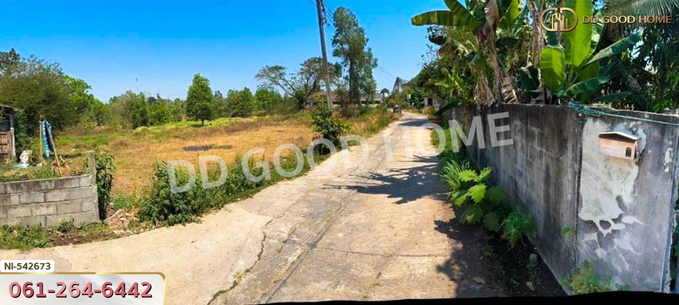 ที่ดิน อ.บุณฑริก 2 ไร่ 268 ตร.ว. อุบลราชธานี-5