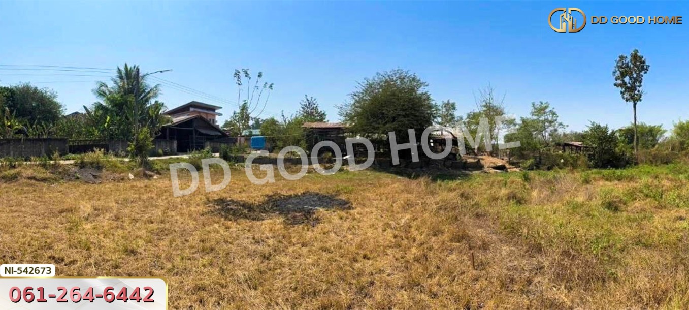 ที่ดิน อ.บุณฑริก 2 ไร่ 268 ตร.ว. อุบลราชธานี-2