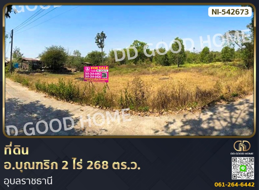 ที่ดิน อ.บุณฑริก 2 ไร่ 268 ตร.ว. อุบลราชธานี-1