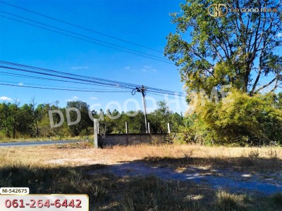 ที่ดิน อ.บัวใหญ่ 5 ไร่ 206 ตร.ว. นครราชสีมา-7