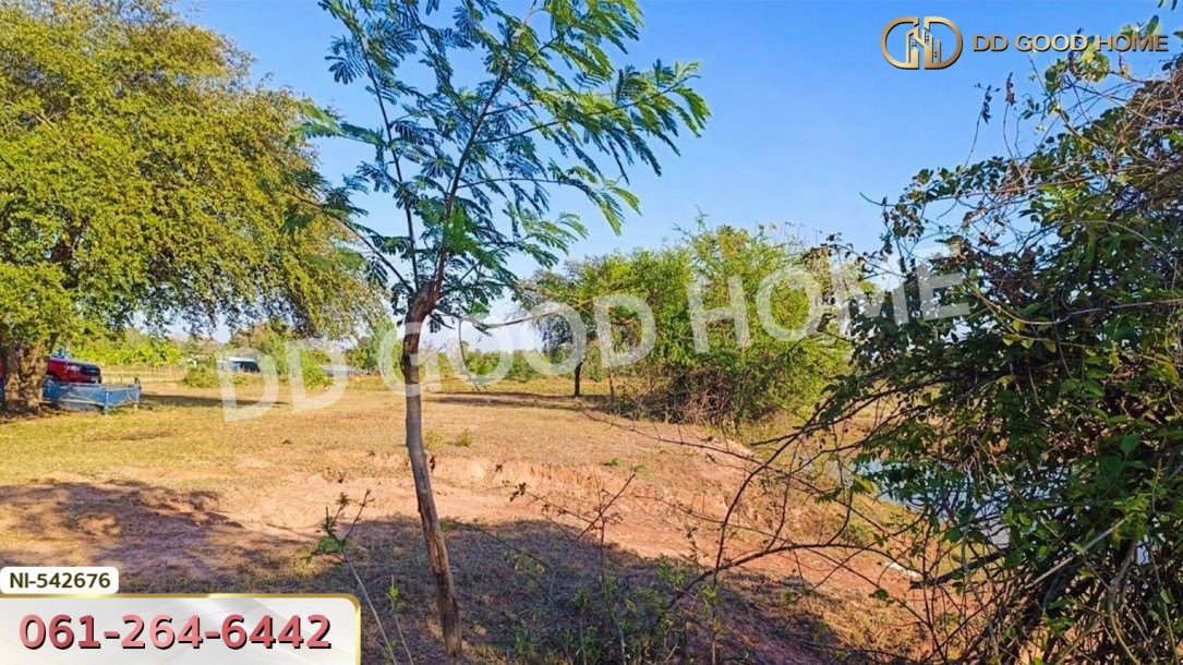 ที่ดิน อ.ประทาย 19 ไร่ 78 ตร.ว. นครราชสีมา-4