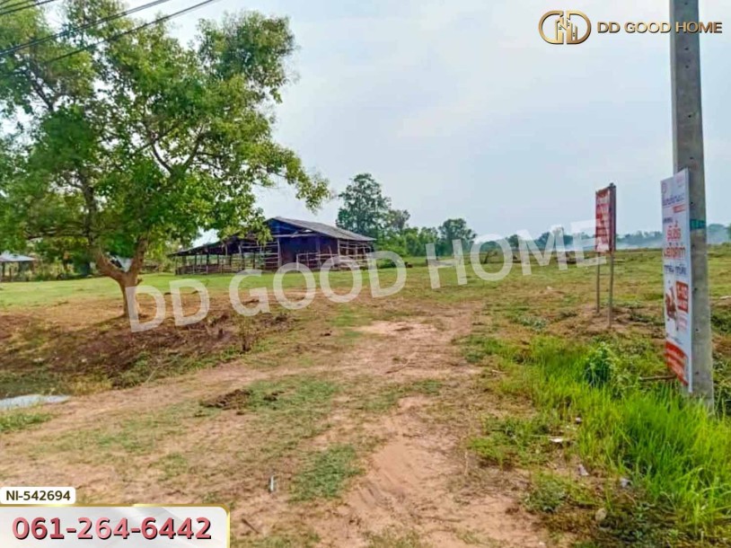 ที่ดิน อ.บ้านกรวด 7 ไร่ 86.4 ตร.ว. บุรีรัมย์-4