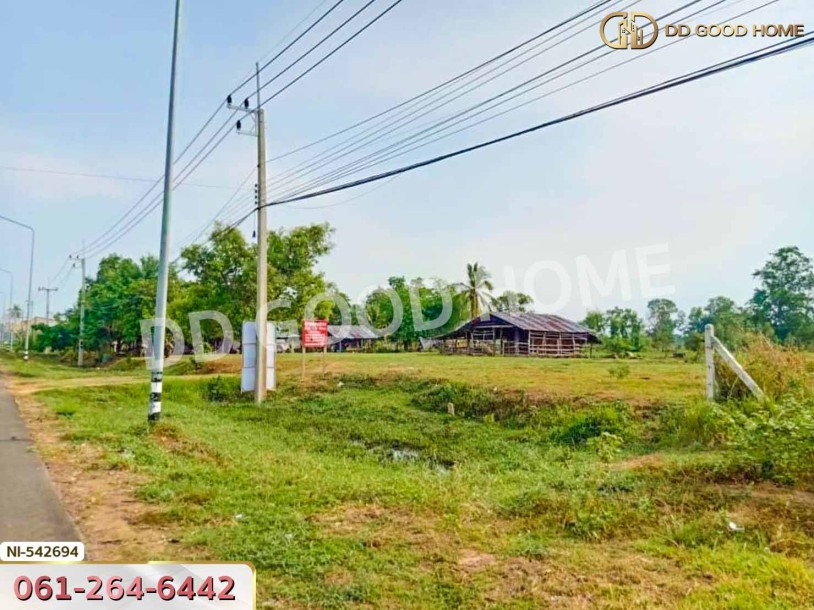 ที่ดิน อ.บ้านกรวด 7 ไร่ 86.4 ตร.ว. บุรีรัมย์-6