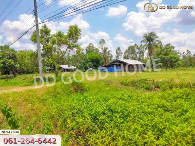 ที่ดิน อ.บ้านกรวด 7 ไร่ 86.4 ตร.ว. บุรีรัมย์