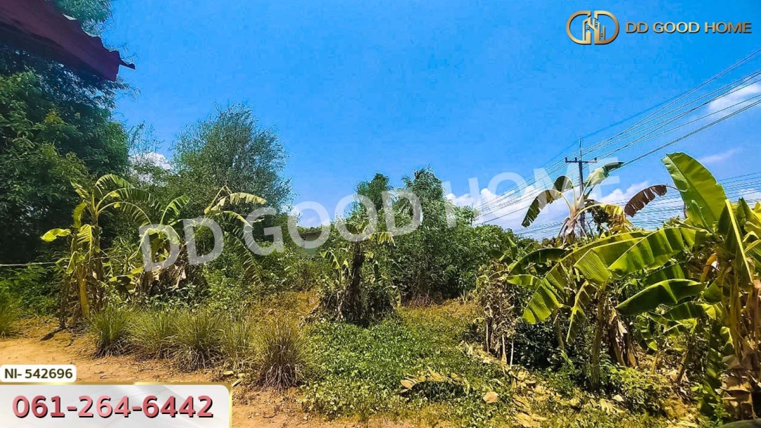 ที่ดิน อ.เมืองปราจีนบุรี 3 ไร่ 229.3 ตร.ว. ปราจีนบุรี-6