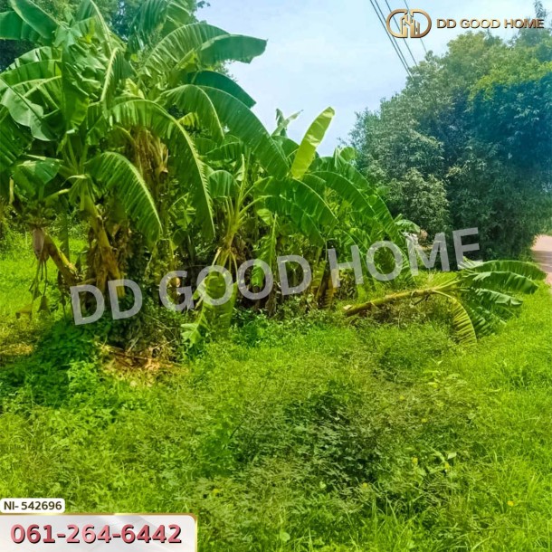 ที่ดิน อ.เมืองปราจีนบุรี 3 ไร่ 229.3 ตร.ว. ปราจีนบุรี-2
