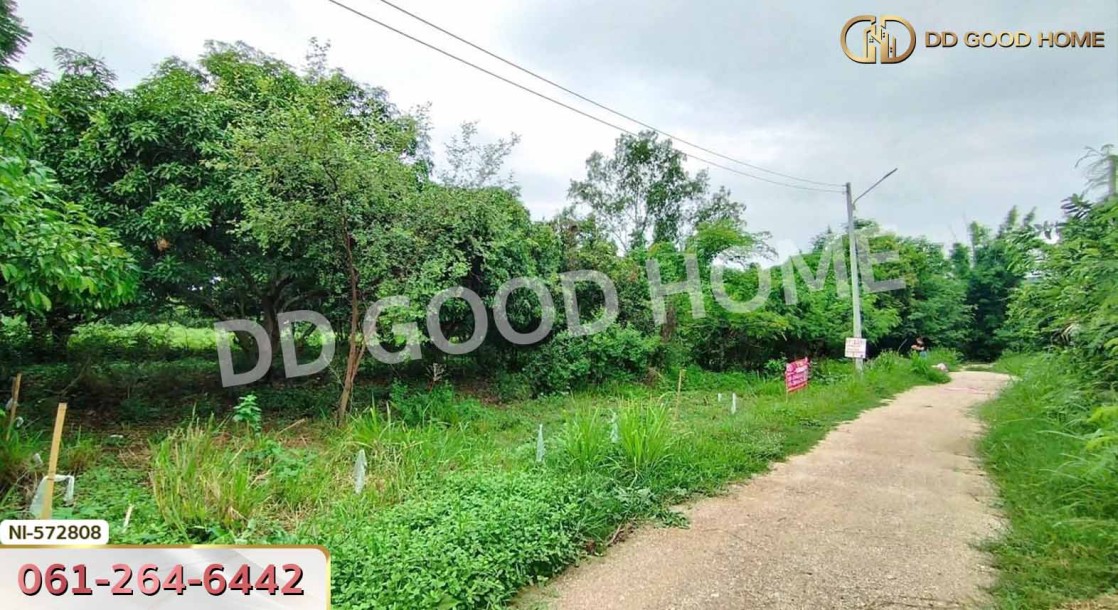 ที่ดิน แก่งคอย 65.5 ตร.ว. สระบุรี ใกล้วัดบ้านโป่ง.-4