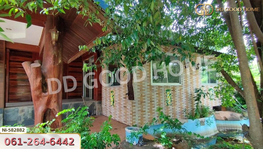 ที่ดิน อ.นาดี 2 ไร่ 11 ตร.ว. ปราจีนบุรี-7