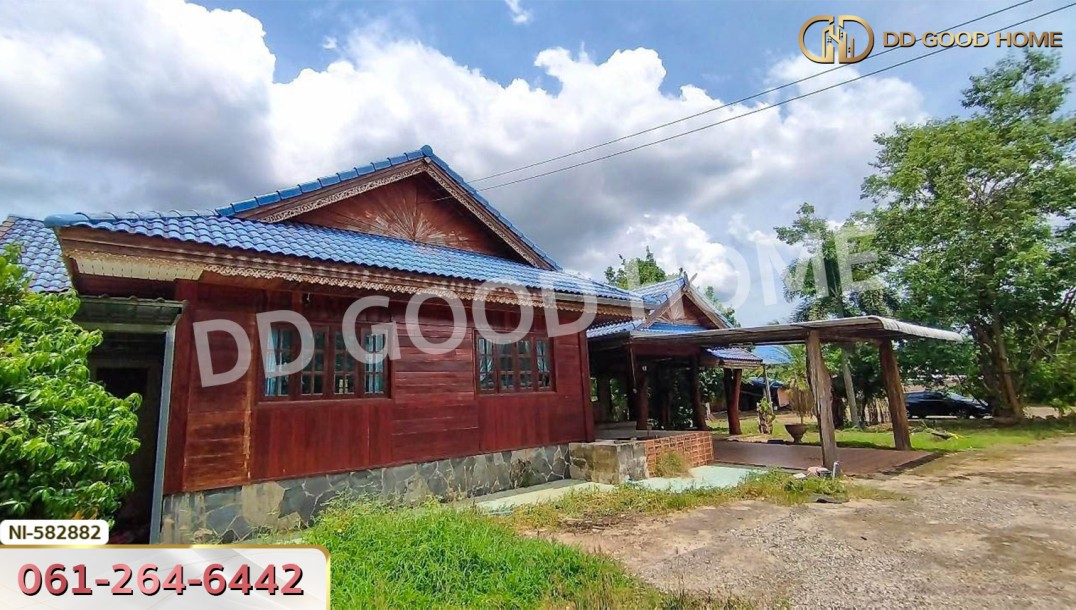 ที่ดิน อ.นาดี 2 ไร่ 11 ตร.ว. ปราจีนบุรี-11