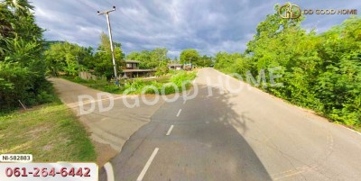 ที่ดิน อ.แก่งกระจาน 4 ไร่ 393 ตร.ว. เพชรบุรี-3