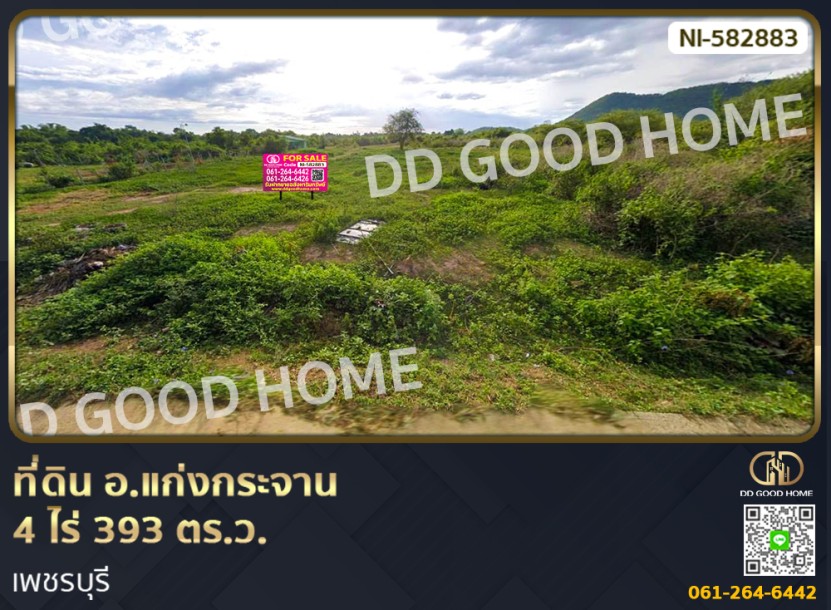 ที่ดิน อ.แก่งกระจาน 4 ไร่ 393 ตร.ว. เพชรบุรี-1