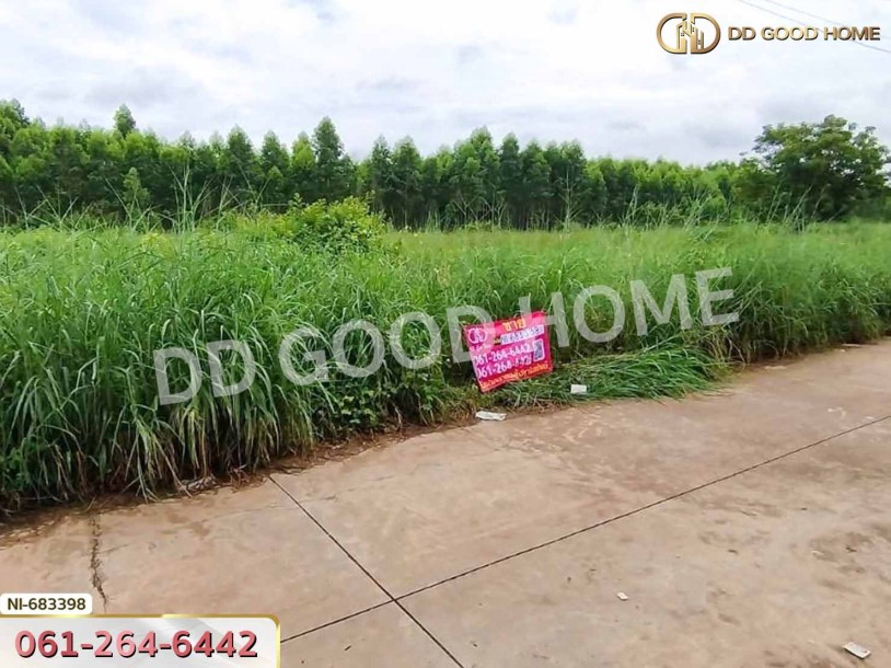 ที่ดินศรีมหาโพธิ 186 ตร.ว. ปราจีนบุรี ใกล้โรงเรียนบ้านโป่งไผ่-5