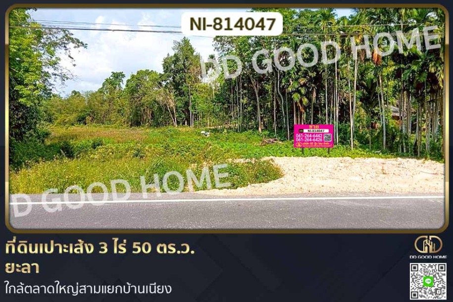 ที่ดินเปาะเส้ง 3 ไร่ 50 ตร.ว. ยะลา ใกล้ตลาดใหญ่สามแยกบ้านเนียง-1