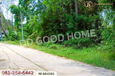 ที่ดินกวนวัน 251.5 ตร.ว. หนองคาย ใกล้วัดพระไชยเชษฐา