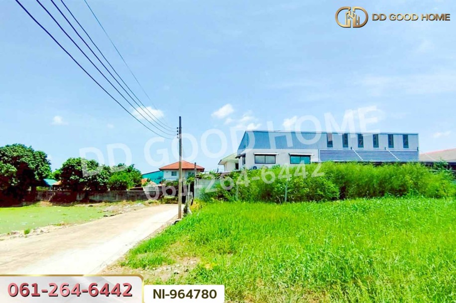 ที่ดินบางบัวทอง 160 ตร.ว. นนทบุรี ใกล้วัดลาดปลาดุก (เช่า)-6
