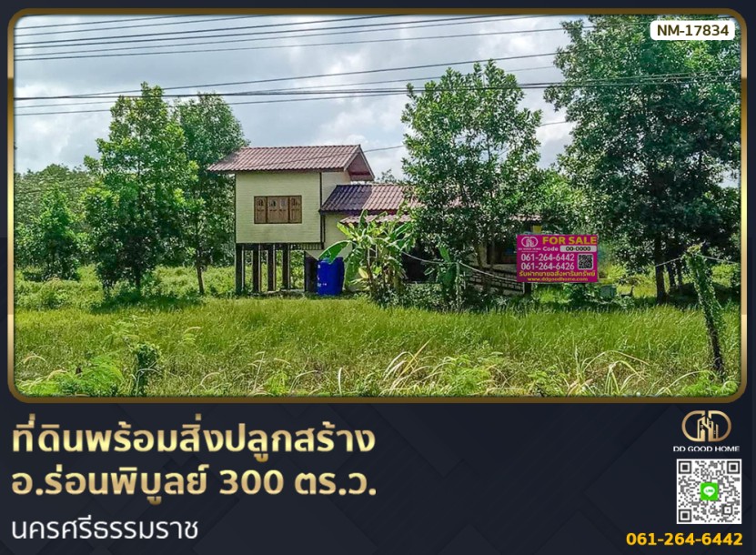 ที่ดินพร้อมสิ่งปลูกสร้าง อ.ร่อนพิบูลย์ 300 ตร.ว. นครศรีธรรมราช-1
