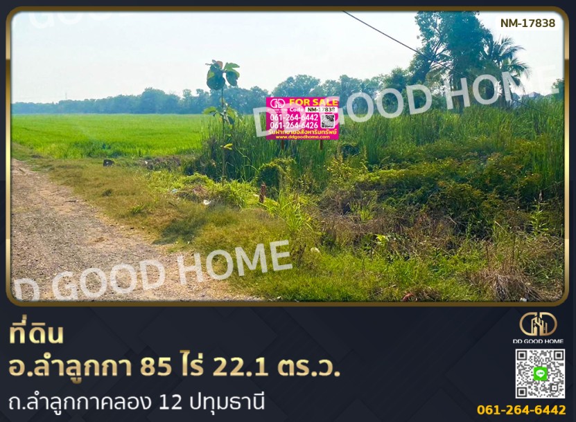 ที่ดิน อ.ลำลูกกา 85 ไร่ 22.1 ตร.ว. ถ.ลำลูกกาคลอง 12 ปทุมธานี-1