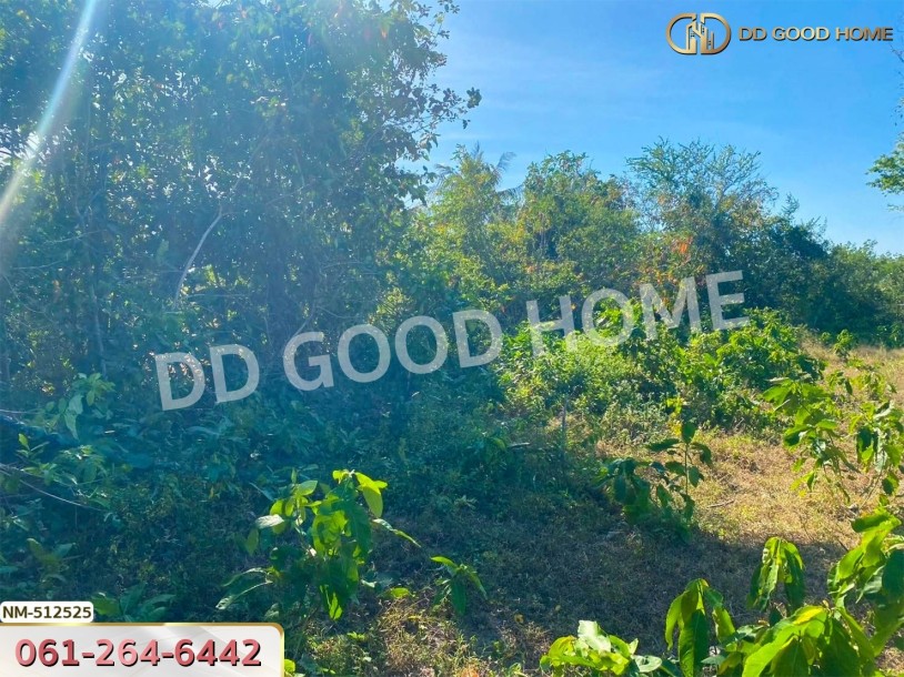 ที่ดิน อ.ทับสะแก 242.3 ตร.ว. ประจวบคีรีขันธ์-6