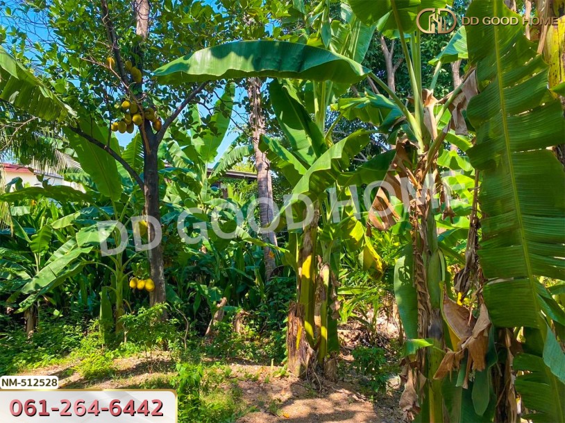 ที่ดิน จอมทอง 204 ตร.ว. กรุงเทพฯ-6