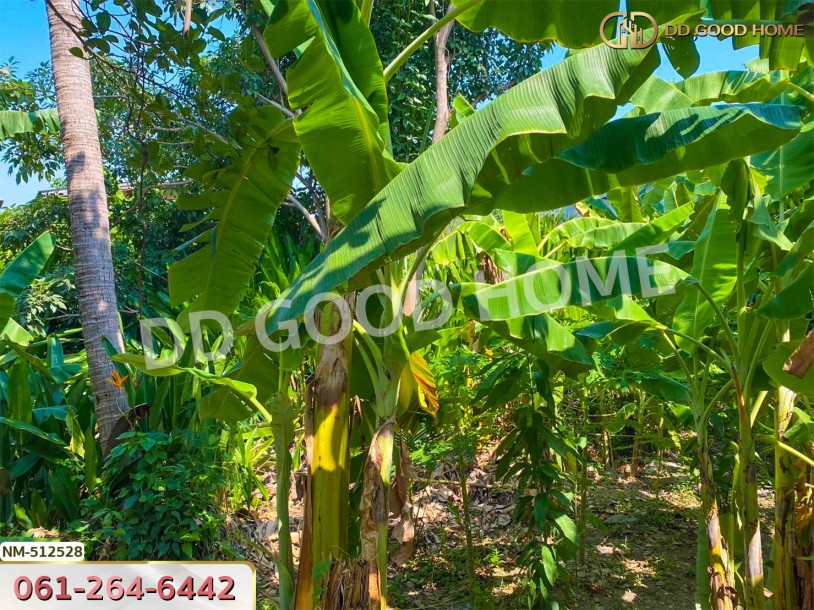 ที่ดิน จอมทอง 204 ตร.ว. กรุงเทพฯ-5