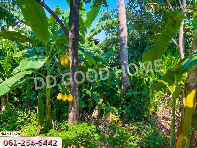 ที่ดิน จอมทอง 204 ตร.ว. กรุงเทพฯ-4