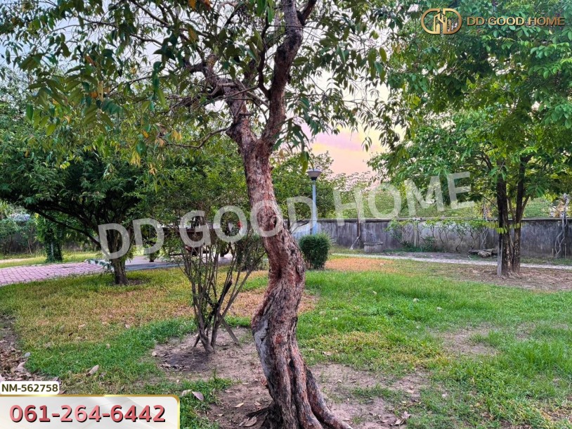 ที่ดิน ซ.ขันติรักษ์ อ.เมืองอุดรธานี 1 ไร่ 371.7 ตร.ว. อุดรธานี-8
