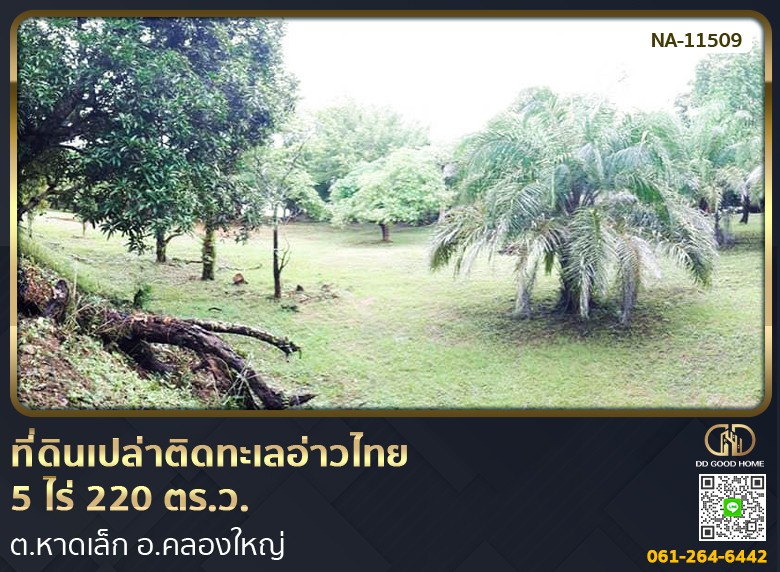 ที่ดินเปล่าติดทะเลอ่าวไทย 5 ไร่ 220 ตร.ว. ต.หาดเล็ก อ.คลองใหญ่-1