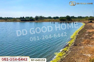 ที่ดินบางปะกง 9 ไร่ 287 ตร.ว. ฉะเชิงเทรา ใกล้โรงเรียนแสมขาววิทยาคาร