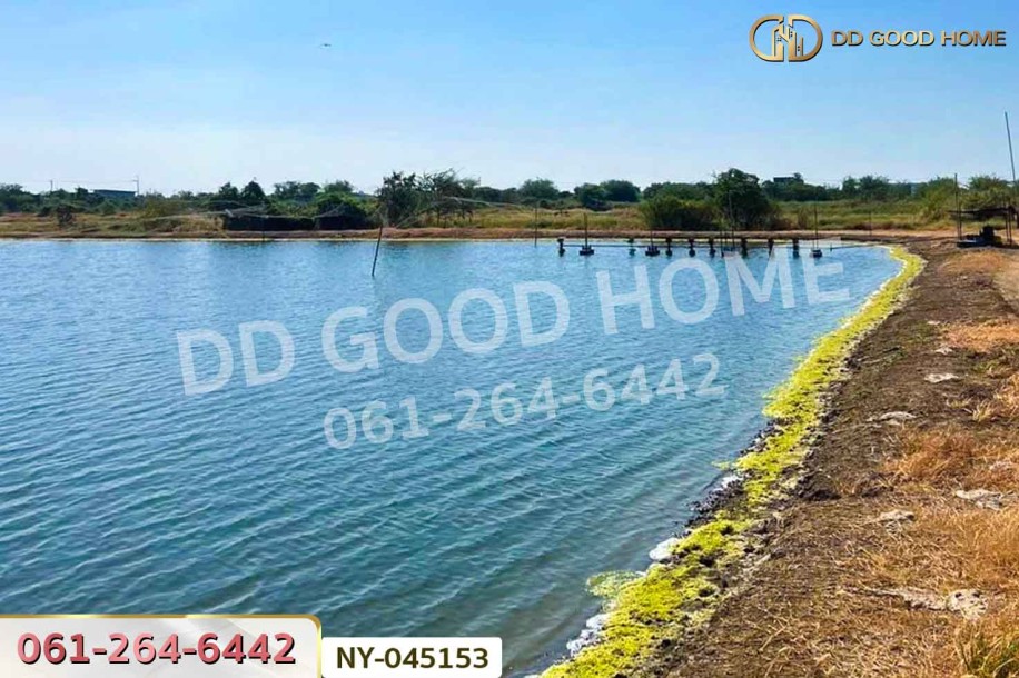 ที่ดินบางปะกง 9 ไร่ 287 ตร.ว. ฉะเชิงเทรา ใกล้โรงเรียนแสมขาววิทยาคาร-8