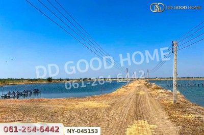 ที่ดินบางปะกง 9 ไร่ 287 ตร.ว. ฉะเชิงเทรา ใกล้โรงเรียนแสมขาววิทยาคาร