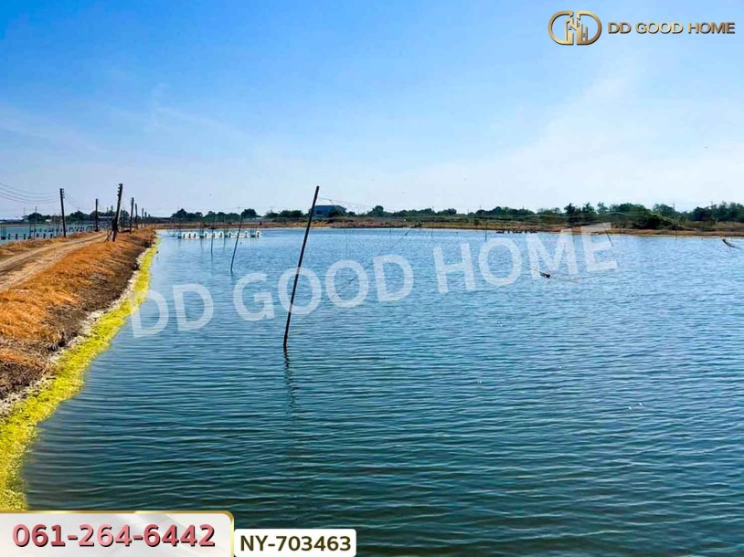 ที่ดินปางปะกง 9 ไร่ 287 ตร.ว. ฉะเชิงเทรา ใกล้โรงเรียนแสมขาววิทยาคาร-7